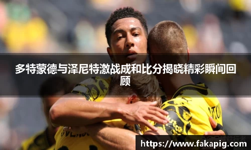 多特蒙德与泽尼特激战成和比分揭晓精彩瞬间回顾
