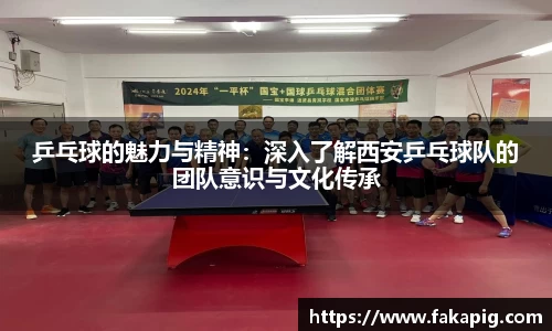 星空·综合体育