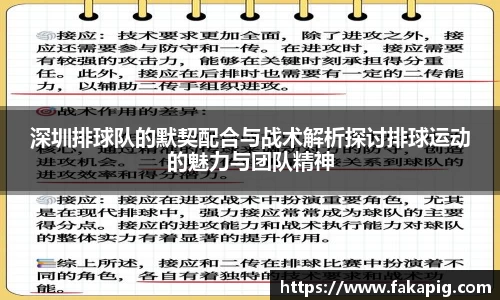 深圳排球队的默契配合与战术解析探讨排球运动的魅力与团队精神
