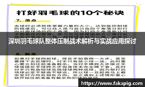 深圳羽毛球队整体压制战术解析与实战应用探讨